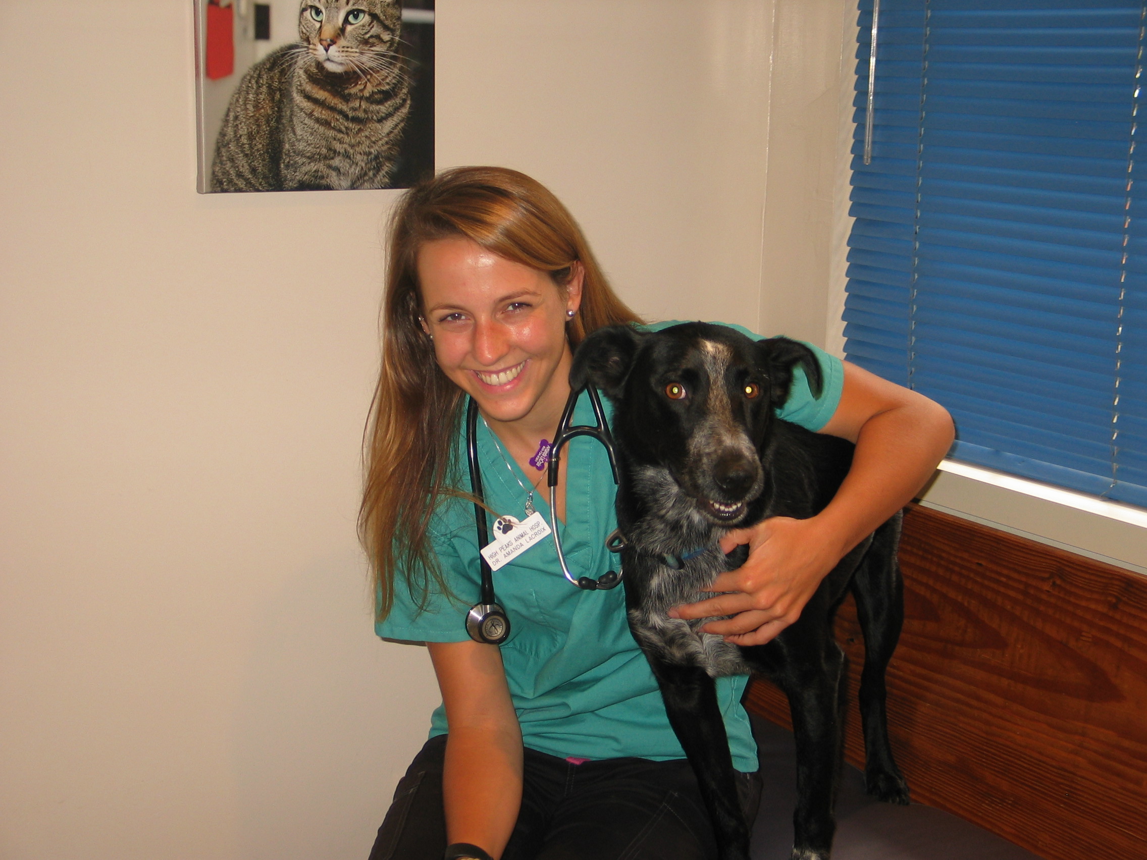 High Peaks Animal Hospital hires new vet News, Sports, Jobs